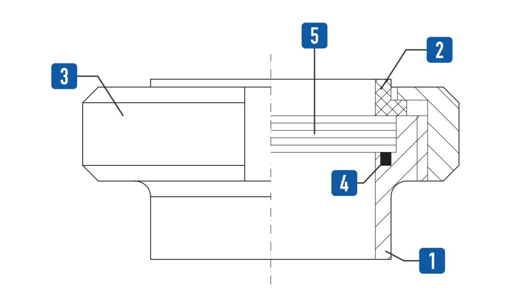 wziernik plaski budowa 1763561916