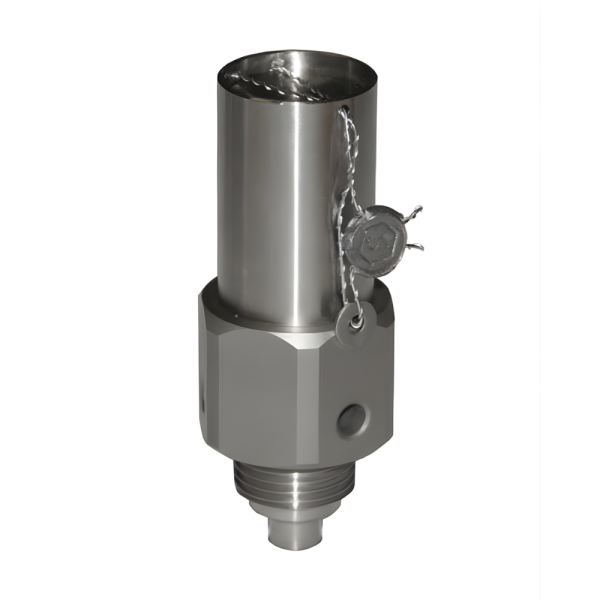 Przerywacze próżni